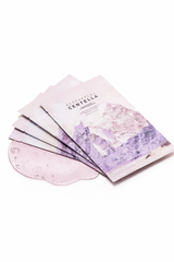 SKIN1004 - Madagascar Centella Poremizing Clarifying Mask - 23ml